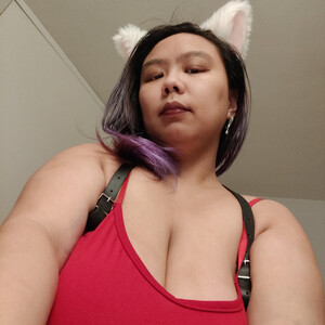 Cypurr