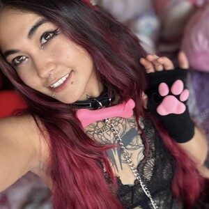 lilRavenFox