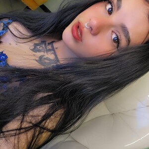 Nicolee_fox